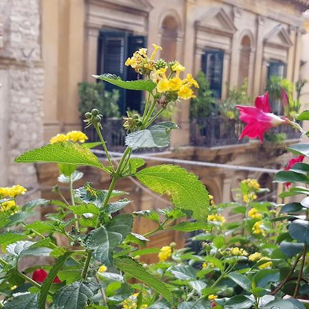 Casa Coccinella Acomodação com café da manhã Caltanissetta Exterior foto