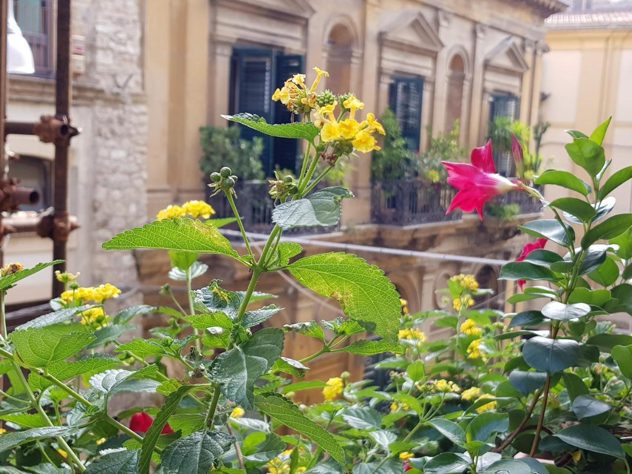 Casa Coccinella Acomodação com café da manhã Caltanissetta Exterior foto